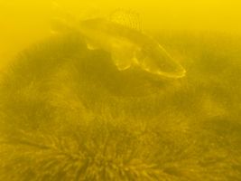 IMG-20250421-WA0087 (1).jpg